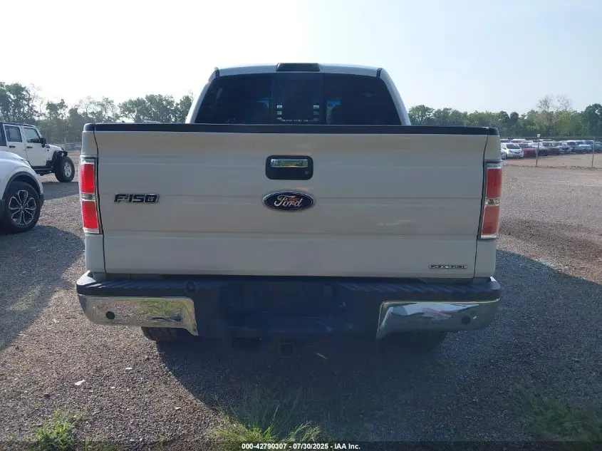 2011 FORD F-150 XLT