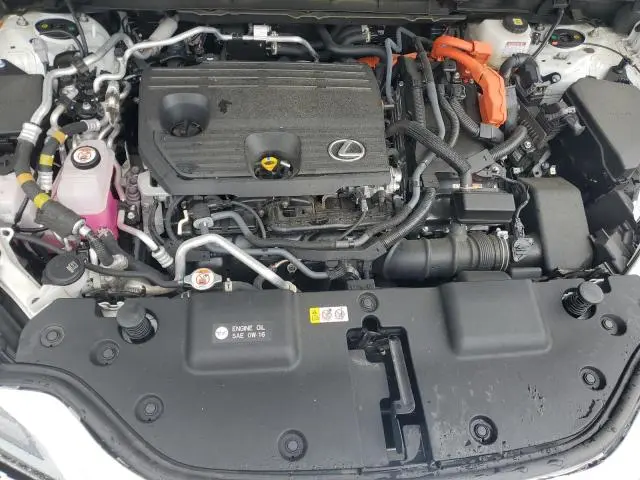 2024 LEXUS NX 450H LUXURY  
