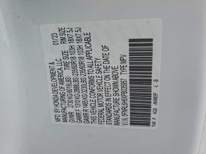 2023 HONDA ODYSSEY EXL  