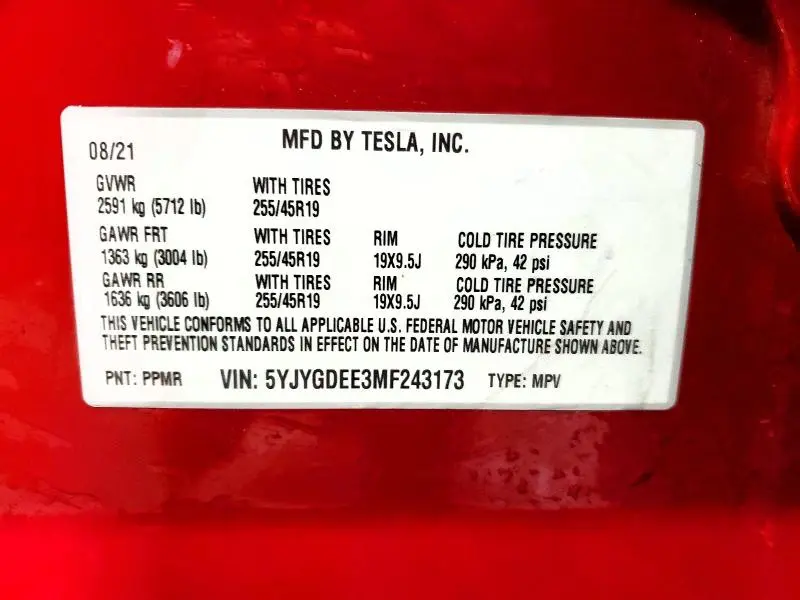 2021 TESLA MODEL Y   