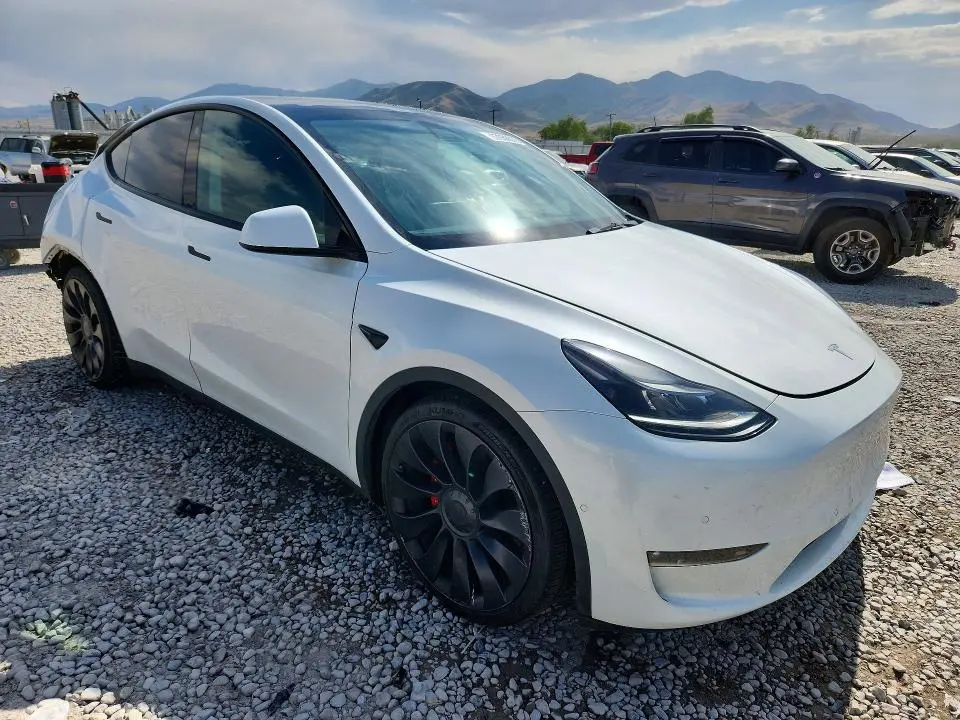 2021 TESLA MODEL Y   