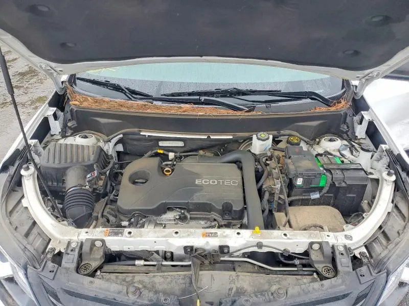 2021 CHEVROLET EQUINOX LS  