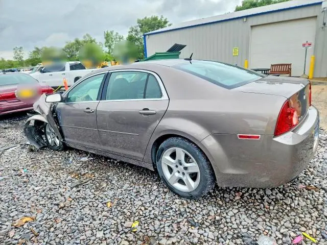 2010 CHEVROLET MALIBU LS  