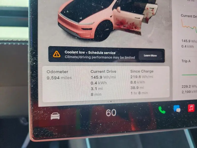 2026 TESLA MODEL Y   