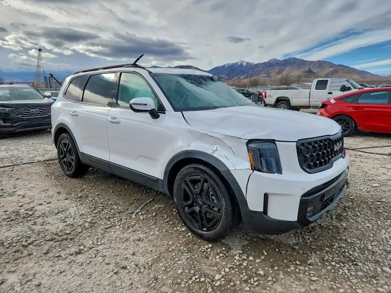 2024 KIA TELLURIDE SX  