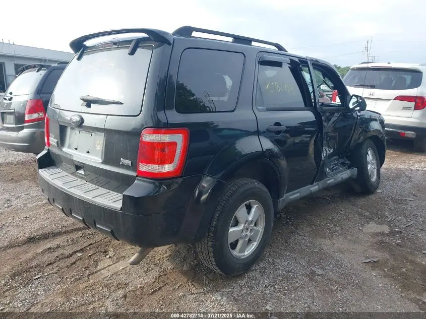 2010 FORD ESCAPE XLT