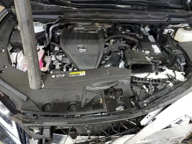 2024 LEXUS RX 350 BASE  