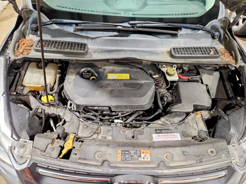 2014 FORD ESCAPE SE  