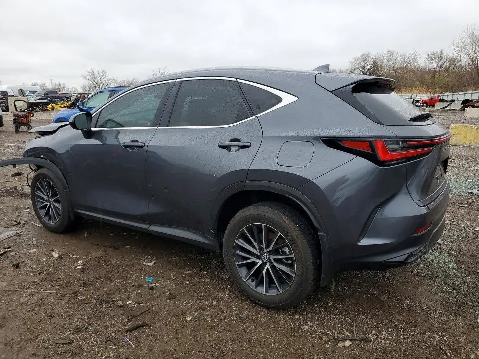 2024 LEXUS NX   
