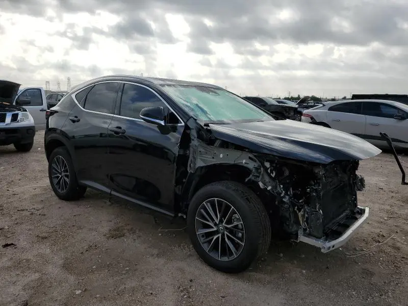 2025 LEXUS NX 250 PREMIUM  
