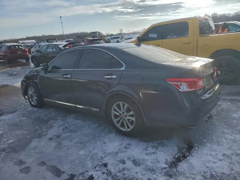 2010 LEXUS ES 350  