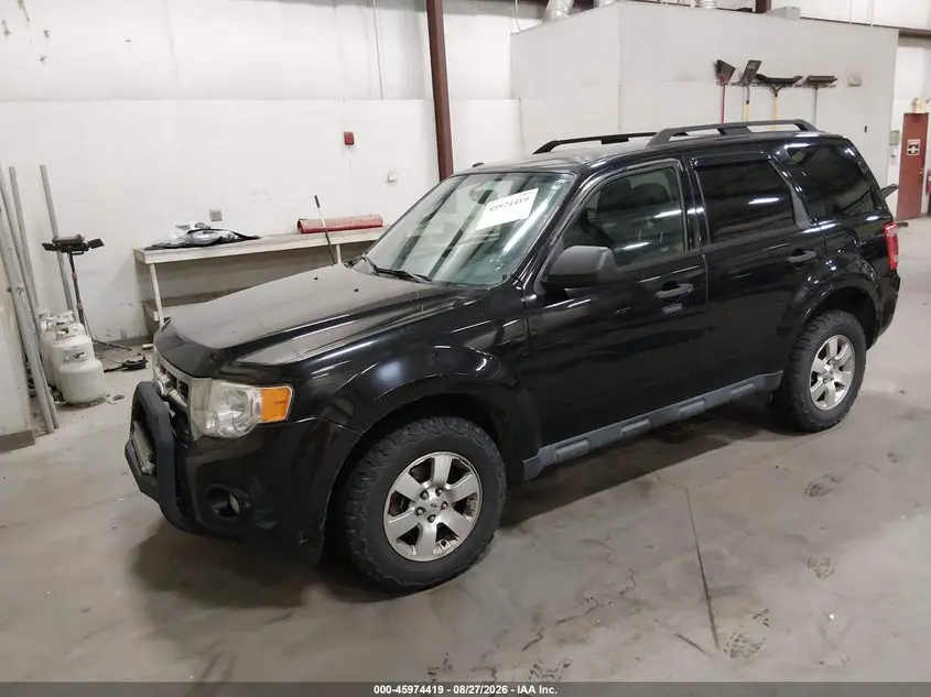 2011 FORD ESCAPE XLT