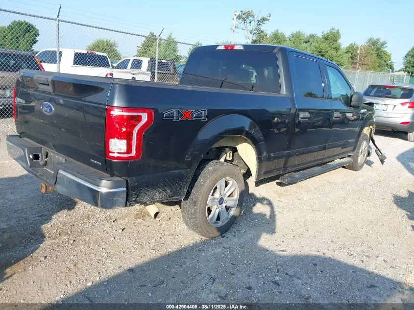 2015 FORD F-150 XLT