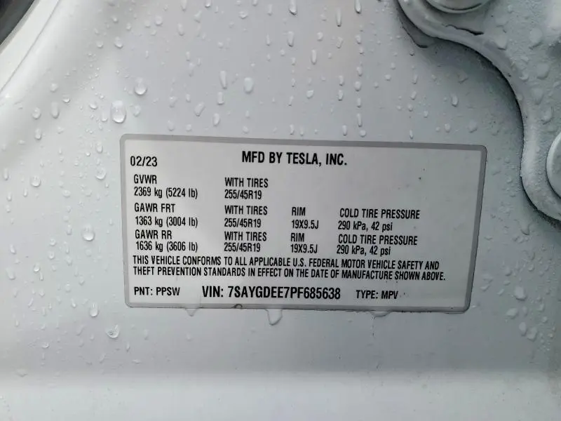 2023 TESLA MODEL Y   