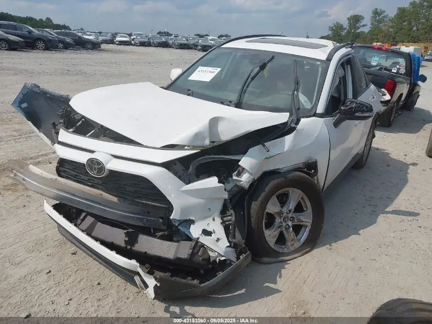 2019 TOYOTA RAV4 XLE