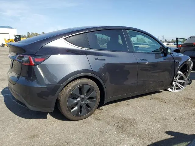 2025 TESLA MODEL Y   