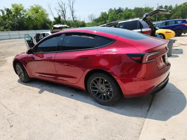 2025 TESLA MODEL 3   