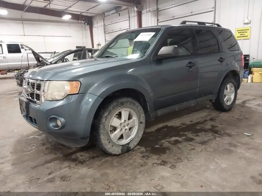 2011 FORD ESCAPE XLT