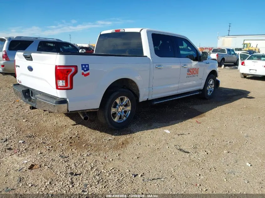 2015 FORD F-150 XLT