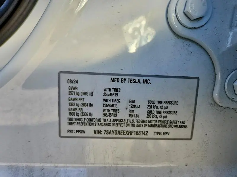 2024 TESLA MODEL Y   