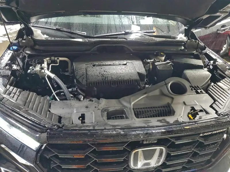 2025 HONDA PILOT BLACK  