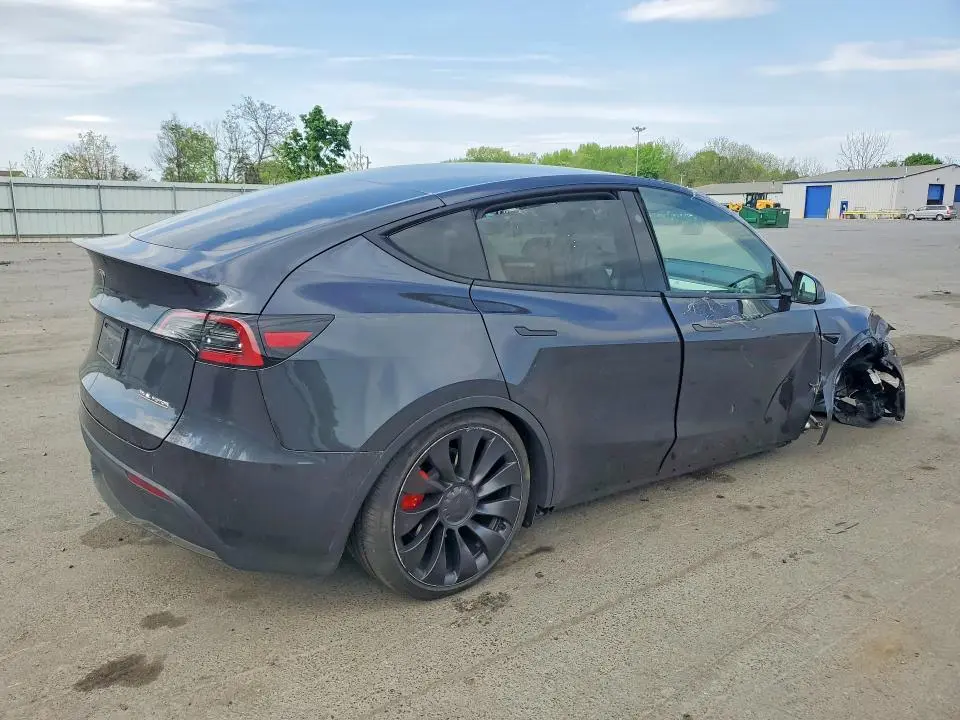 2025 TESLA MODEL Y   