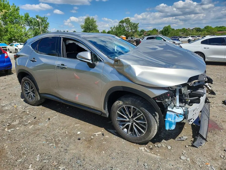 2024 LEXUS NX 350H PREMIUM  
