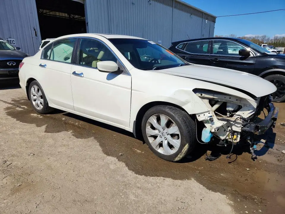 2010 HONDA ACCORD EXL  