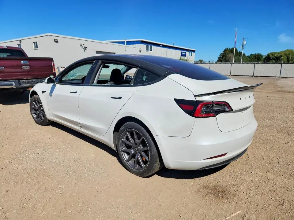 2019 TESLA MODEL 3   