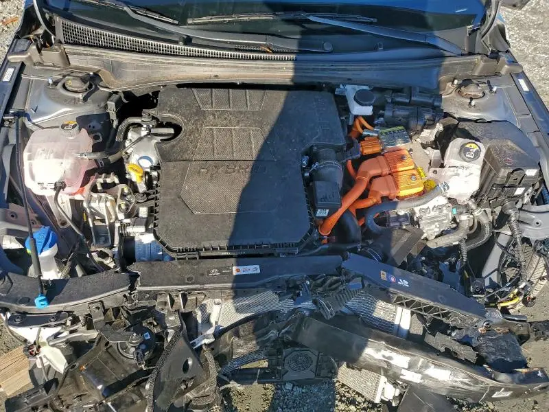 2025 HYUNDAI ELANTRA BLUE  