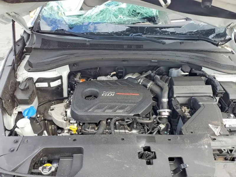 2019 HYUNDAI SANTA FE ULTIMATE 2.0T  