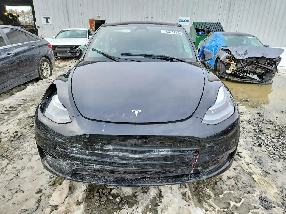 2025 TESLA MODEL Y   