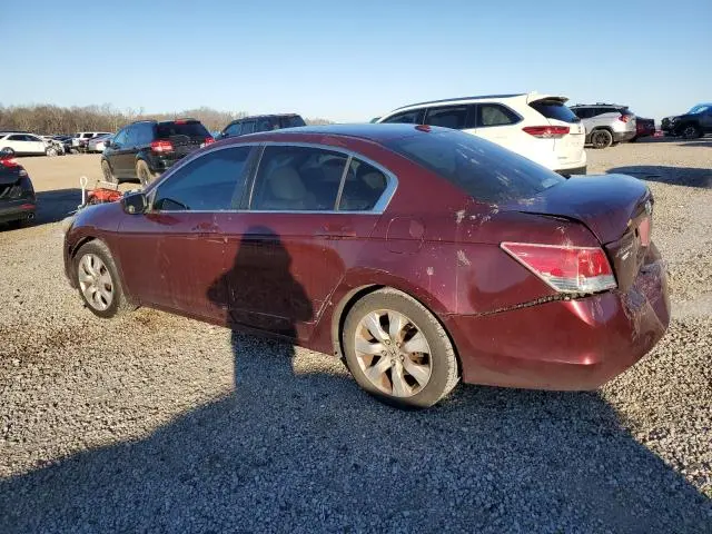 2010 HONDA ACCORD EXL  