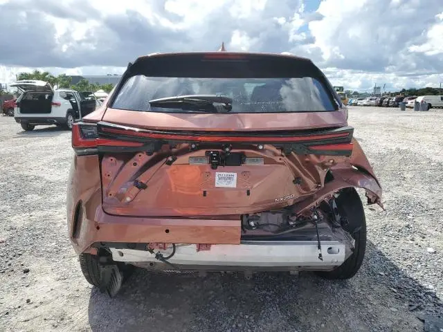 2025 LEXUS NX 250 BASE  