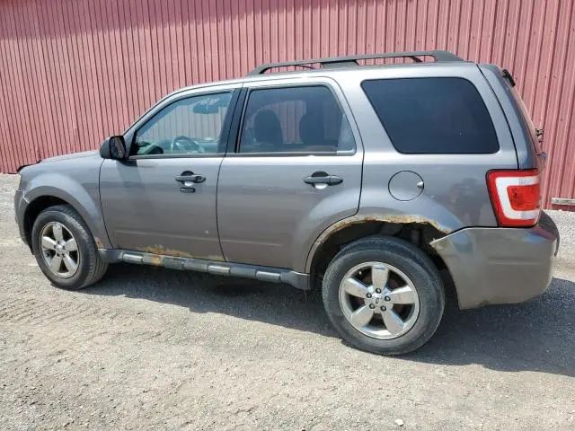 2011 FORD ESCAPE XLT  