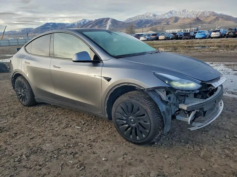 2025 TESLA MODEL Y   