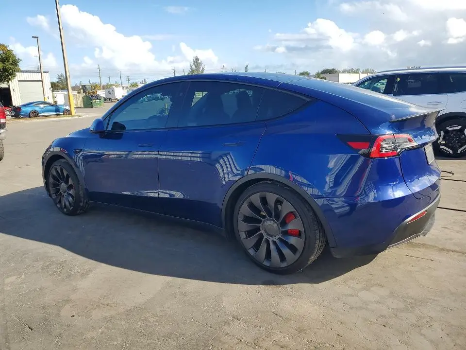 2025 TESLA MODEL Y   