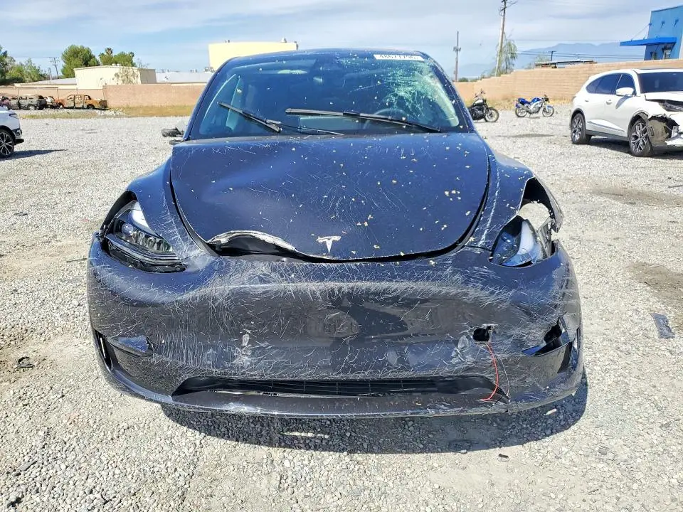2025 TESLA MODEL Y   