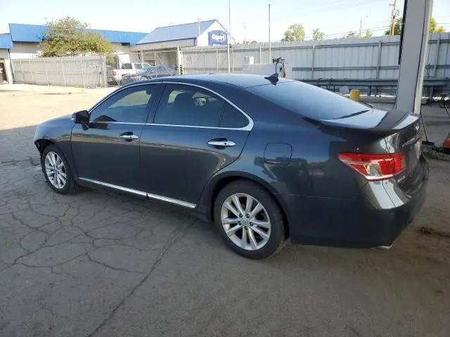 2010 LEXUS ES 350  
