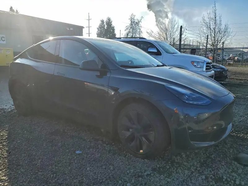 2025 TESLA MODEL Y   