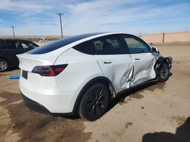 2025 TESLA MODEL Y   