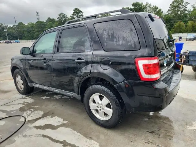 2011 FORD ESCAPE XLT  