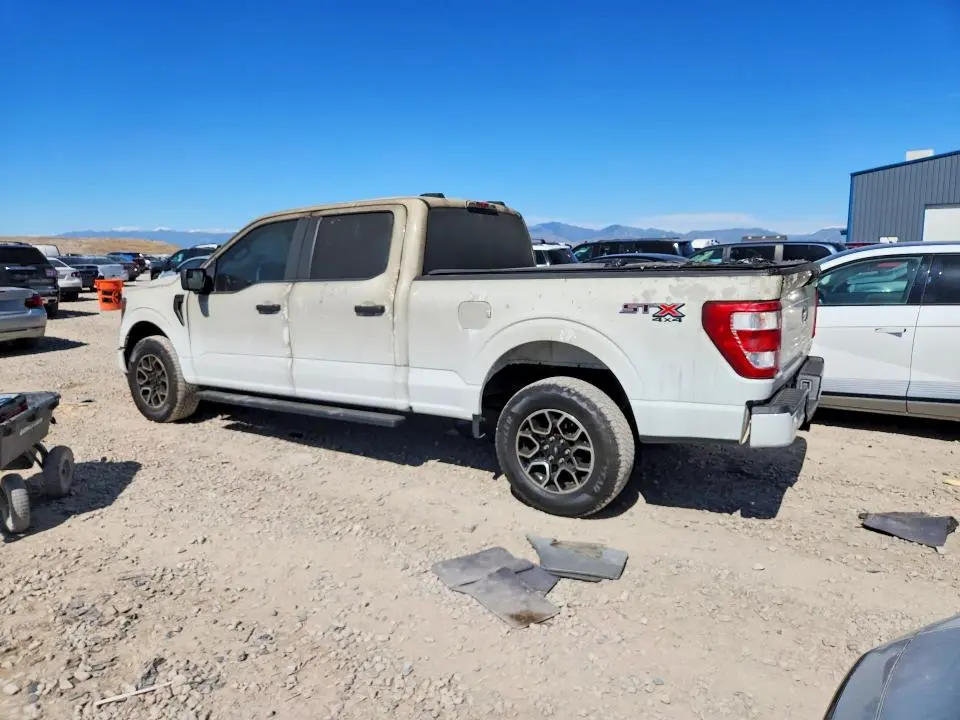 2023 FORD F150 SUPERCREW  