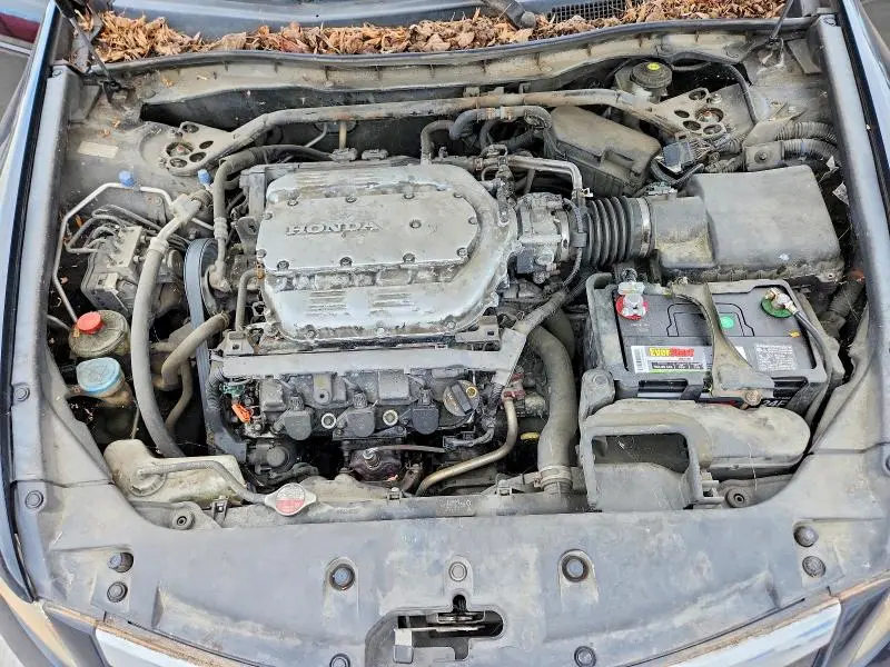 2011 HONDA ACCORD EXL  