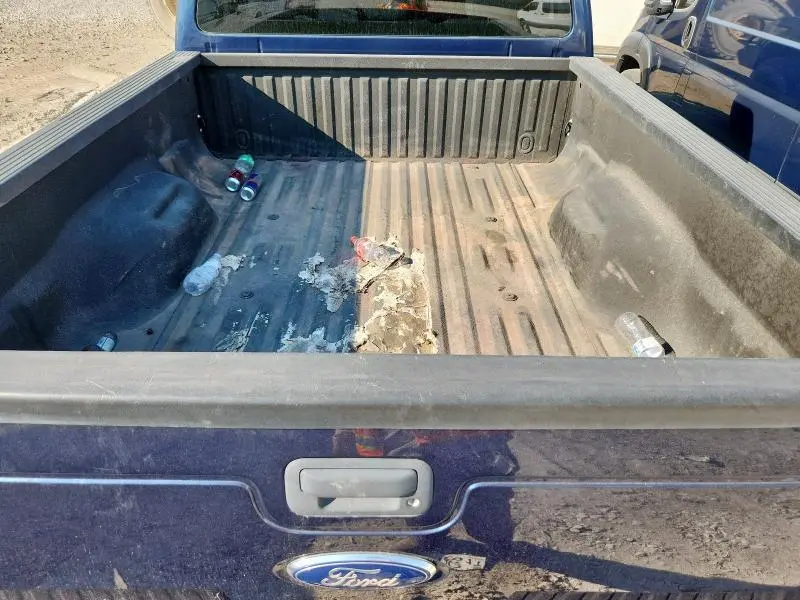 2015 FORD F250 SUPER DUTY  