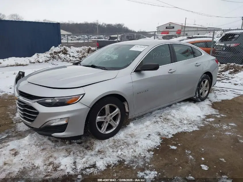 2019 CHEVROLET MALIBU 1FL