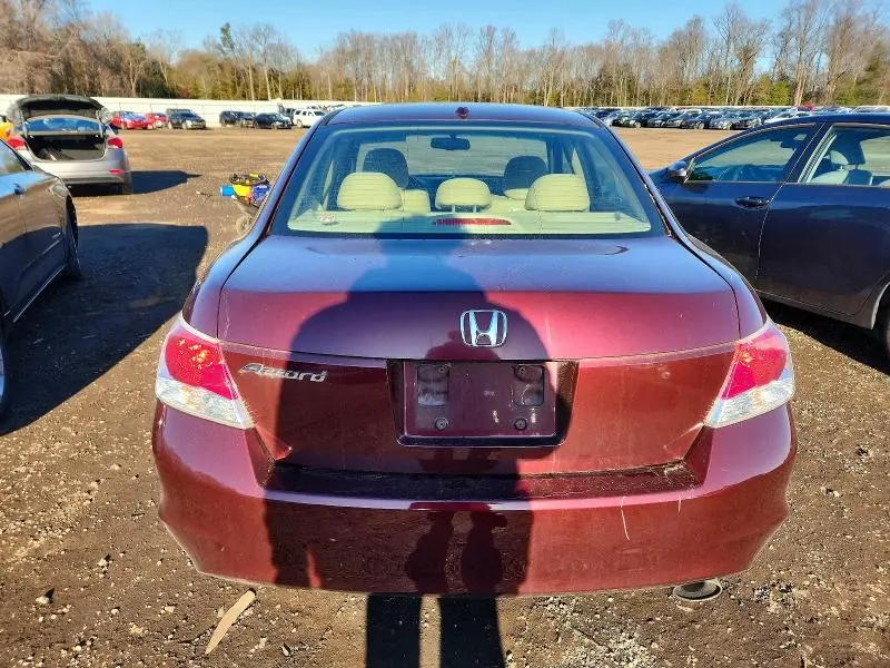 2010 HONDA ACCORD EXL  