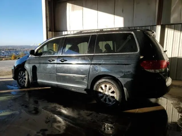 2010 HONDA ODYSSEY EXL  