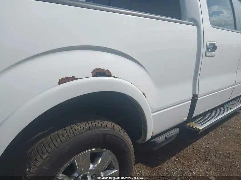 2010 FORD F-150 FX4/HARLEY-DAVIDSON/KING RANCH/LARIAT/PLATINUM/XL/XLT