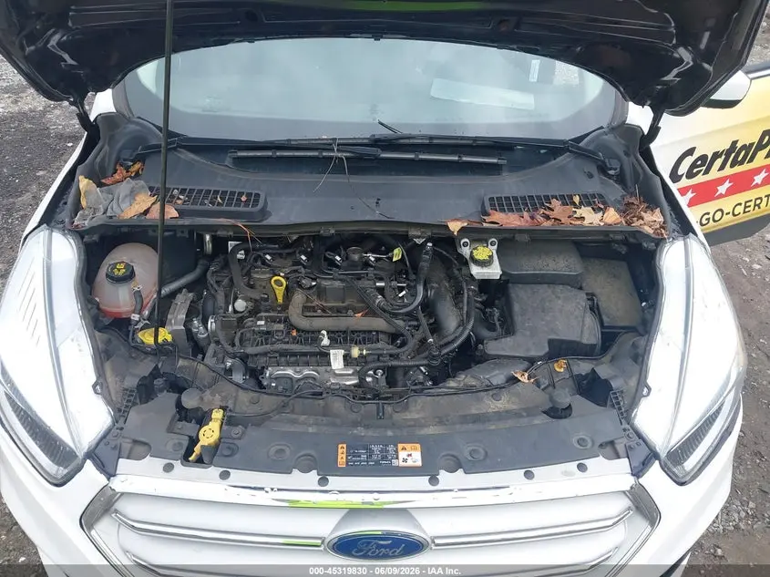 2019 FORD ESCAPE SE